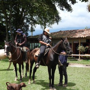 cabalgatas