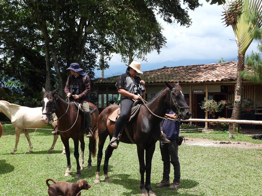 cabalgatas