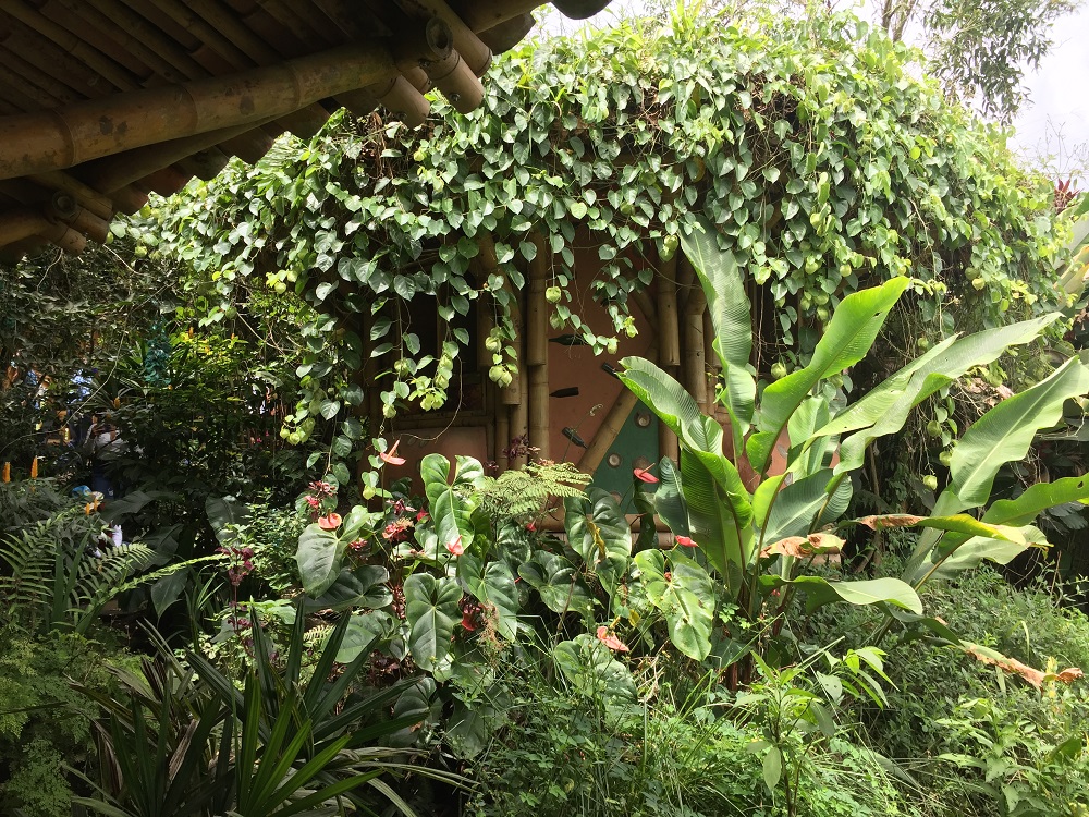 finca permacultura