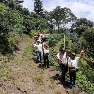 caminata cafetera