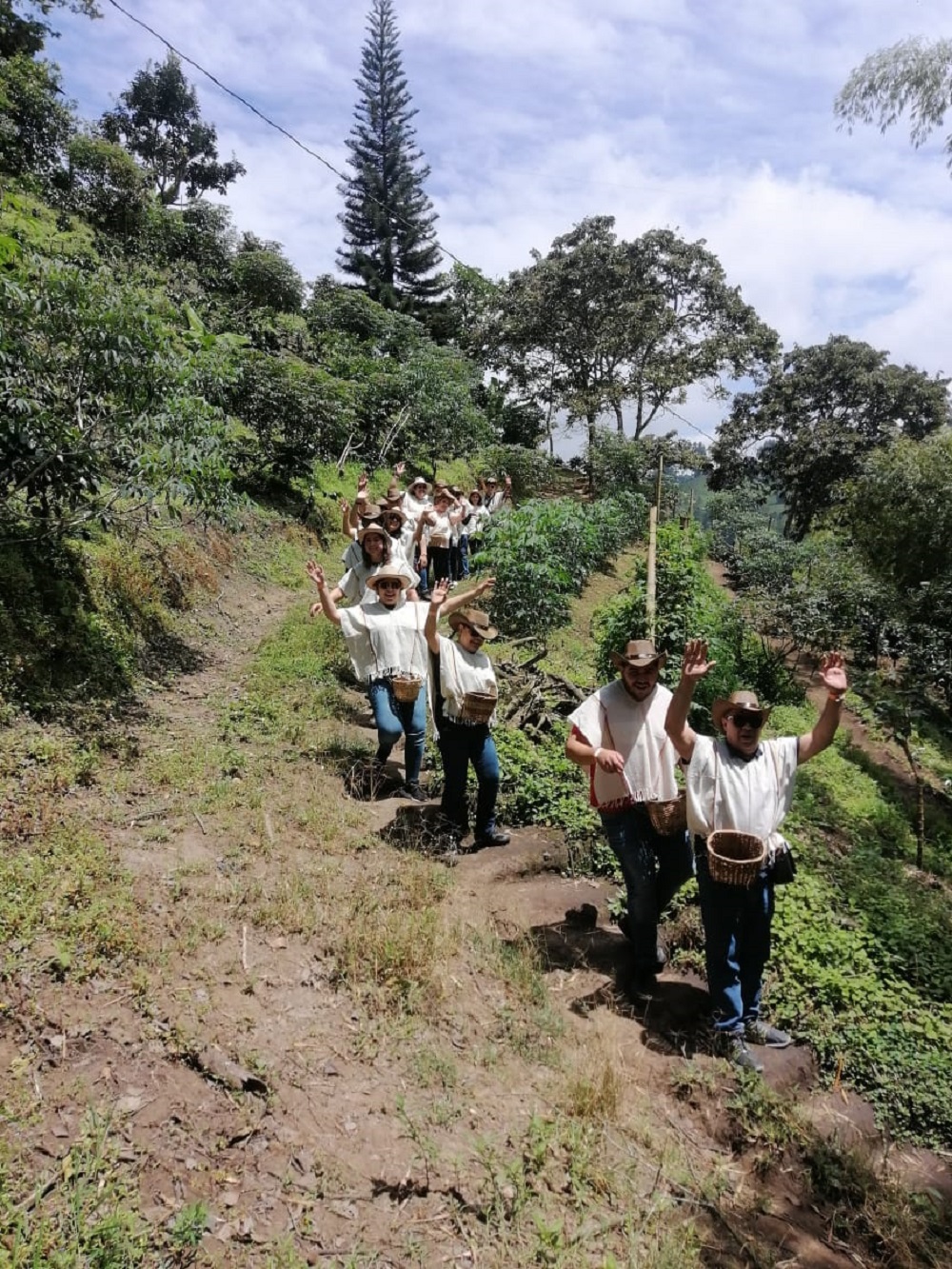 caminata cafetera