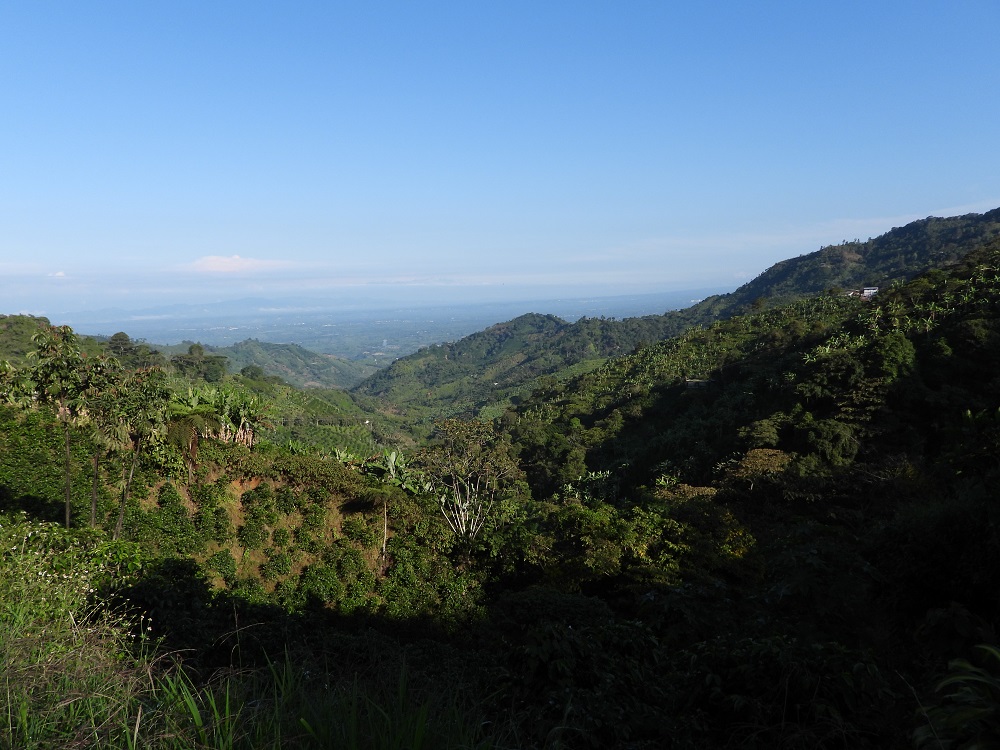 cordillera quindiana