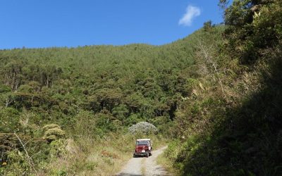 Los caminos de la vida